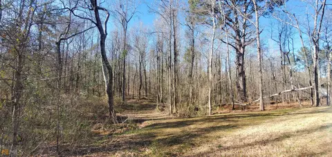 227 Five Points Rd, Milner, GA 30257 photo 33