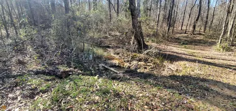 227 Five Points Rd, Milner, GA 30257 photo 35