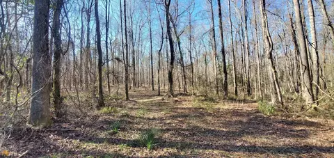 227 Five Points Rd, Milner, GA 30257 photo 32
