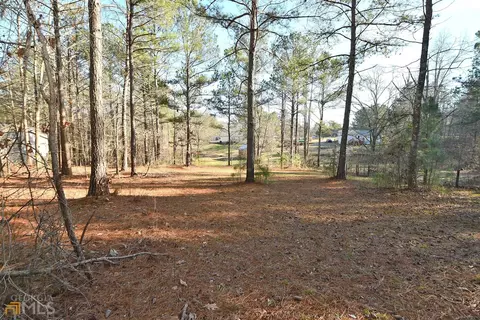 1146 Coppermine Rd, Buchanan, GA 30113 photo 40