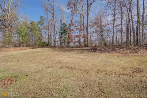 10544 Dinah Pace Rd, Covington, GA 30014 photo 38