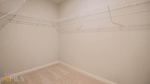 1494 Townsend Cts, Hampton, GA 30228 photo 18