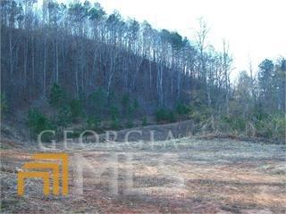 1272 Edgewater Trl, Toccoa, GA 30577 photo 2