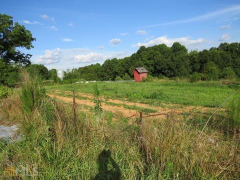 516 Rose Conley Rd, Carnesville, GA 30521 photo 6