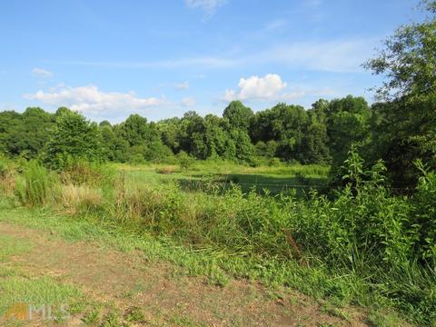 516 Rose Conley Rd, Carnesville, GA 30521 photo 4