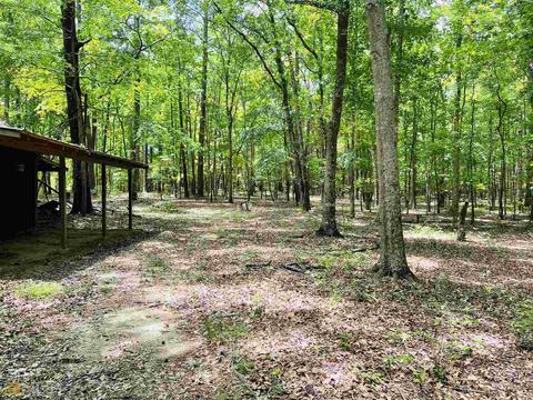 145 Cross Creek Way, Hampton, GA 30228 photo 40