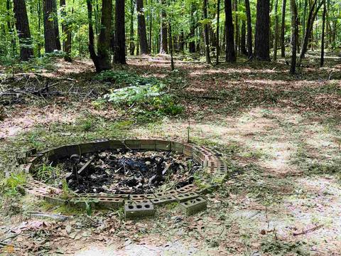 145 Cross Creek Way, Hampton, GA 30228 photo 38