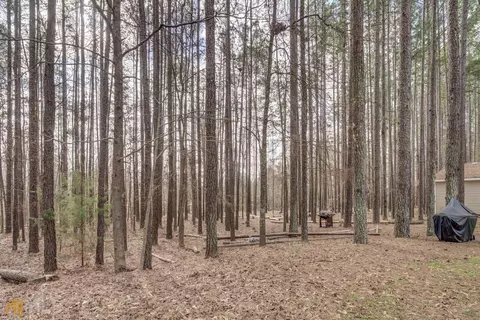 1000 Indian Bend Dr, Rutledge, GA 30663 photo 39