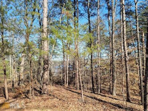 91 Edgewater Trl, Toccoa, GA 30577 photo 2