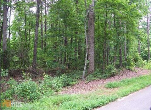 91 Edgewater Trl, Toccoa, GA 30577 photo 3