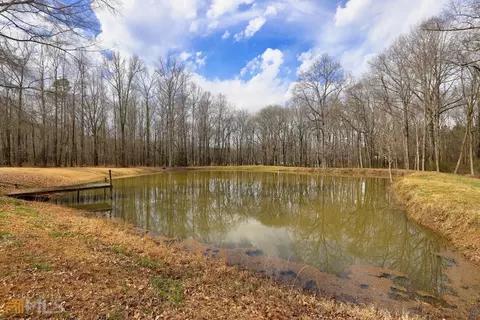 2185 Turner Rd, Williamson, GA 30292 photo 9