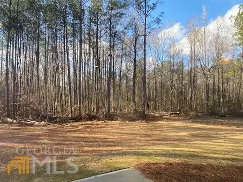 710 Ethridge Mill Rd, Milner, GA 30257 photo 4