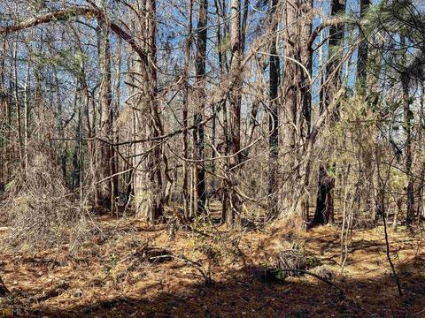 425 Dean Rd, Barnesville, GA 30204 photo 17