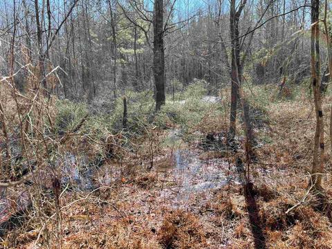 425 Dean Rd, Barnesville, GA 30204 photo 18