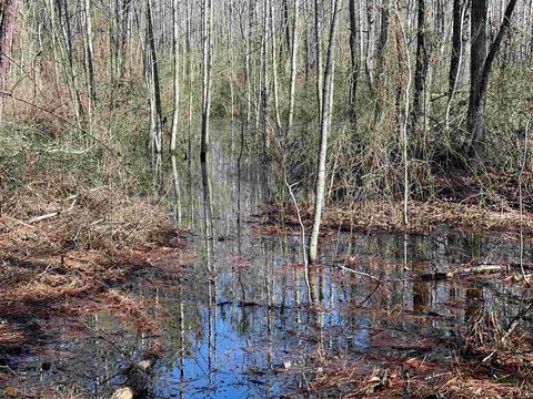 425 Dean Rd, Barnesville, GA 30204 photo 21