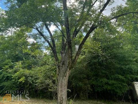 425 Dean Rd, Barnesville, GA 30204 photo 14