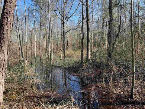 425 Dean Rd, Barnesville, GA 30204 photo 23