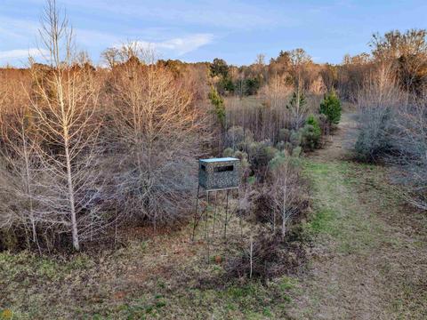 425 Dean Rd, Barnesville, GA 30204 photo 10