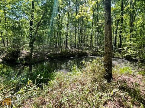 425 Dean Rd, Barnesville, GA 30204 photo 11