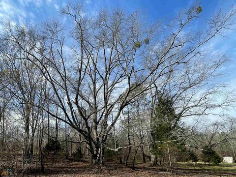 425 Dean Rd, Barnesville, GA 30204 photo 25