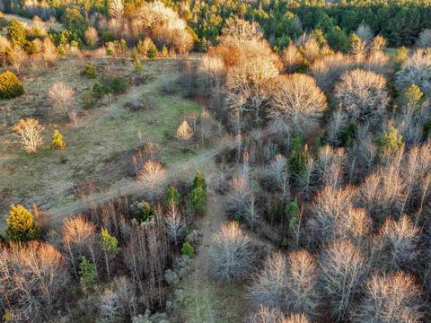 425 Dean Rd, Barnesville, GA 30204 photo 33
