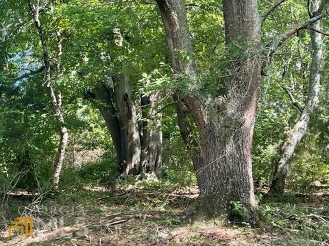 425 Dean Rd, Barnesville, GA 30204 photo 12
