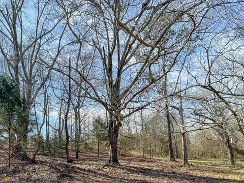 425 Dean Rd, Barnesville, GA 30204 photo 31
