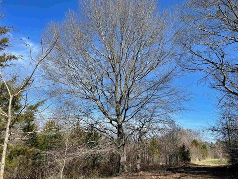 425 Dean Rd, Barnesville, GA 30204 photo 15