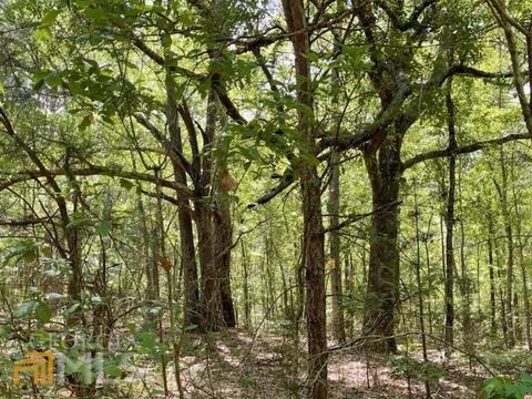425 Dean Rd, Barnesville, GA 30204 photo 13