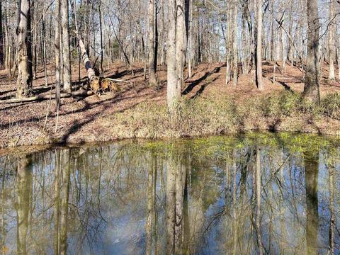 425 Dean Rd, Barnesville, GA 30204 photo 29