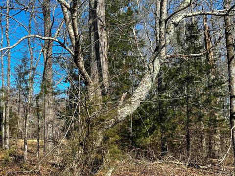 425 Dean Rd, Barnesville, GA 30204 photo 20