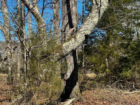 425 Dean Rd, Barnesville, GA 30204 photo 19
