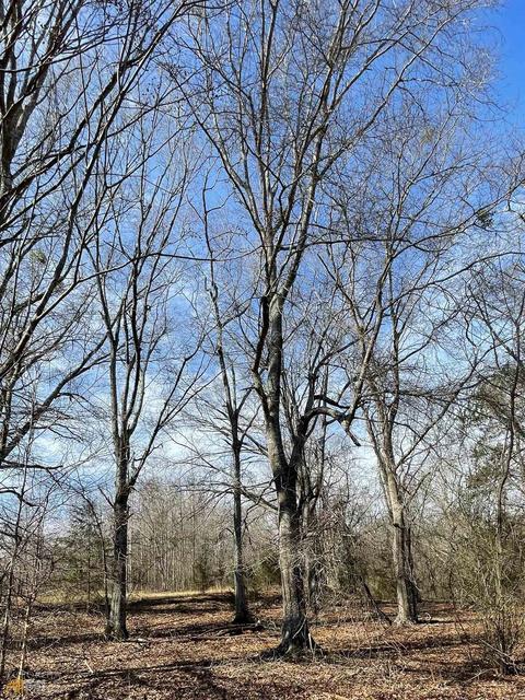 425 Dean Rd, Barnesville, GA 30204 photo 26