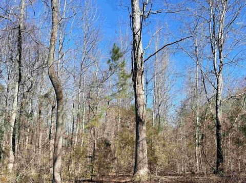 425 Dean Rd, Barnesville, GA 30204 photo 27