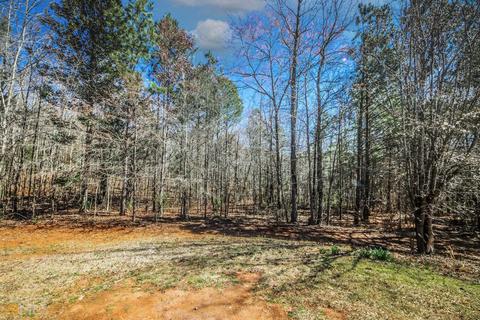 300 Rocky Creek Dr, Hampton, GA 30228 photo 31