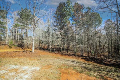 300 Rocky Creek Dr, Hampton, GA 30228 photo 30