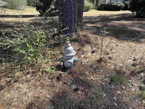1499 Highway 3 N, Hampton, GA 30228 photo 28