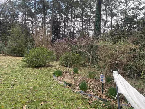 148 Hillendale Dr, Toccoa, GA 30577 photo 13