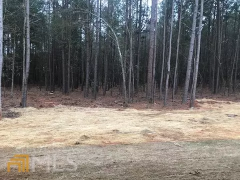 347 Old Griffin Rd, Jackson, GA 30233 photo 15