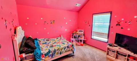 169 Madison Ave, Jackson, GA 30233 photo 19