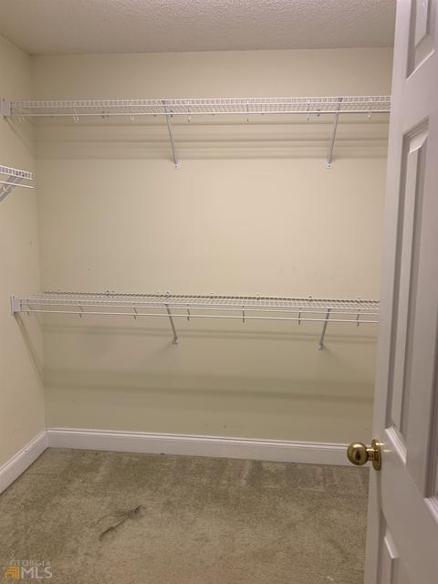 310 Eden Path, Hampton, GA 30228 photo 29
