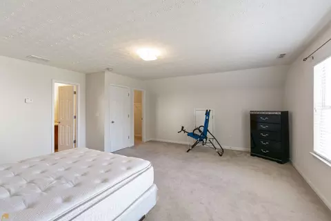 473 Limerick Way, Hampton, GA 30228 photo 19