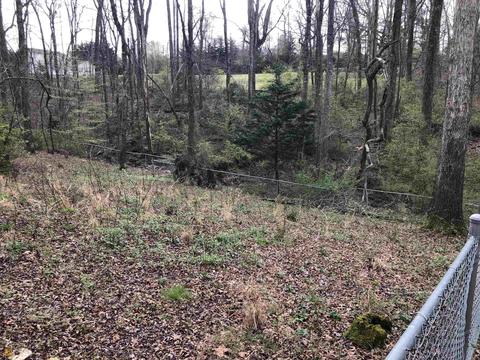 236 Danny Smart Rd, Cornelia, GA 30531 photo 28