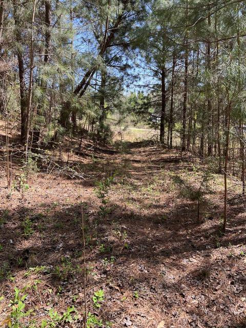 126 Kathryn Way, Commerce, GA 30530 photo 6
