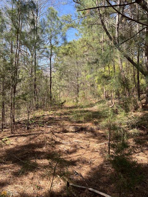 126 Kathryn Way, Commerce, GA 30530 photo 3