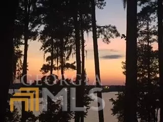 18 Point Dr, Georgetown, GA 39854 photo 33