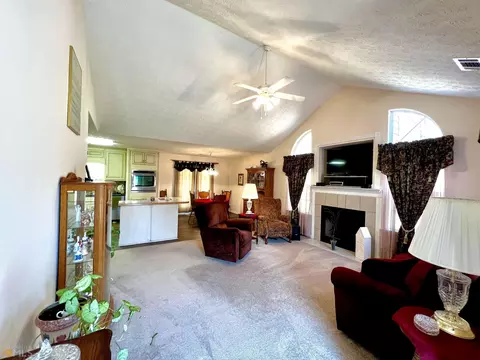 104 Dodgen Place Dr, Hampton, GA 30228 photo 10