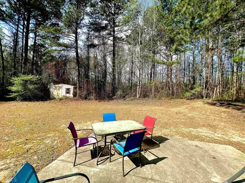 104 Dodgen Place Dr, Hampton, GA 30228 photo 6
