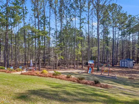 263 Steele Rd, Milner, GA 30257 photo 44