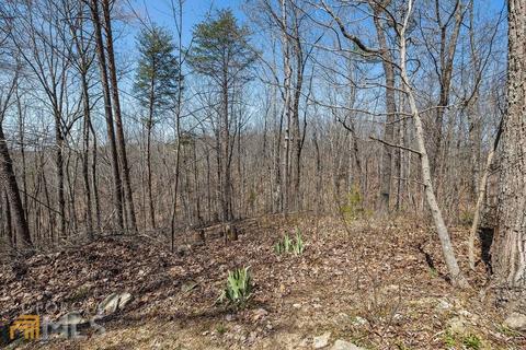 85 Trestle View Way, Toccoa, GA 30577 photo 53
